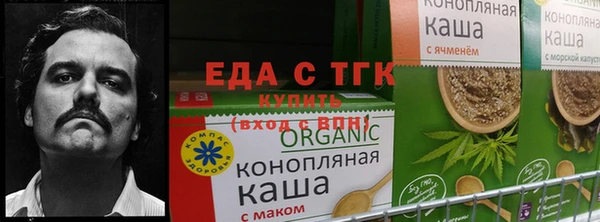 альфа пвп Заводоуковск