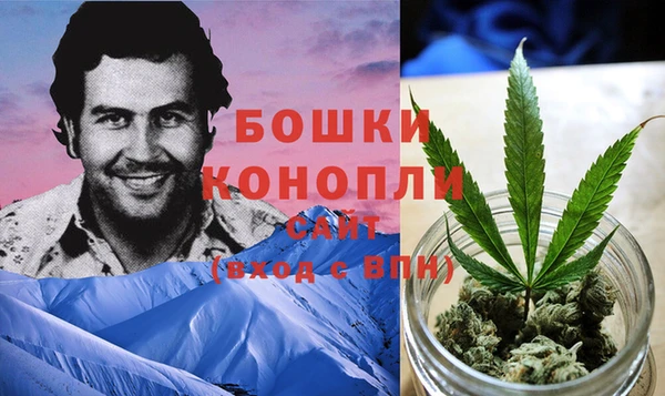 альфа пвп Заводоуковск