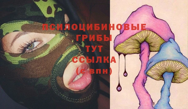 альфа пвп Заводоуковск