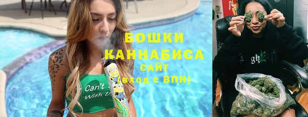 альфа пвп Заводоуковск