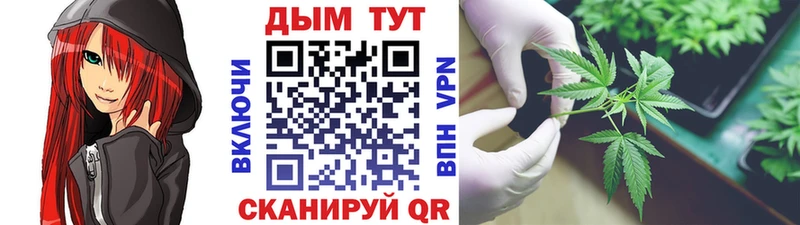 Каннабис план  где купить наркоту  Старица 